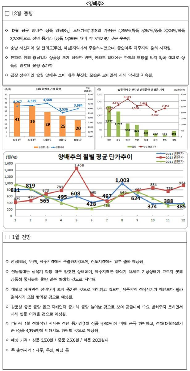 양배추 12월동향 및 1월전망.JPG