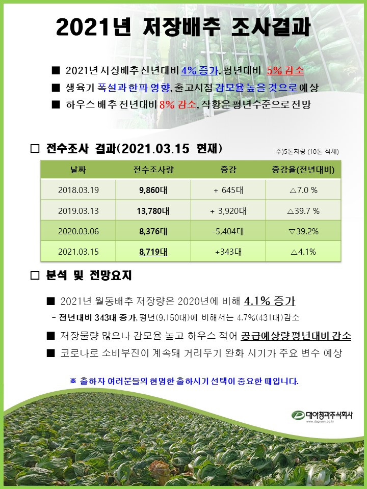 210315 21년 대아청과 저장배추 전수조사 결과.jpg